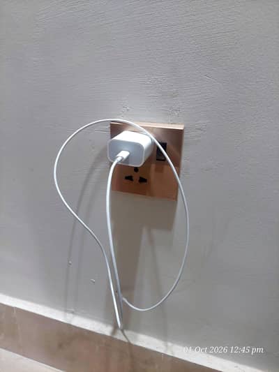 Raja Bazar wala iPhone Charger