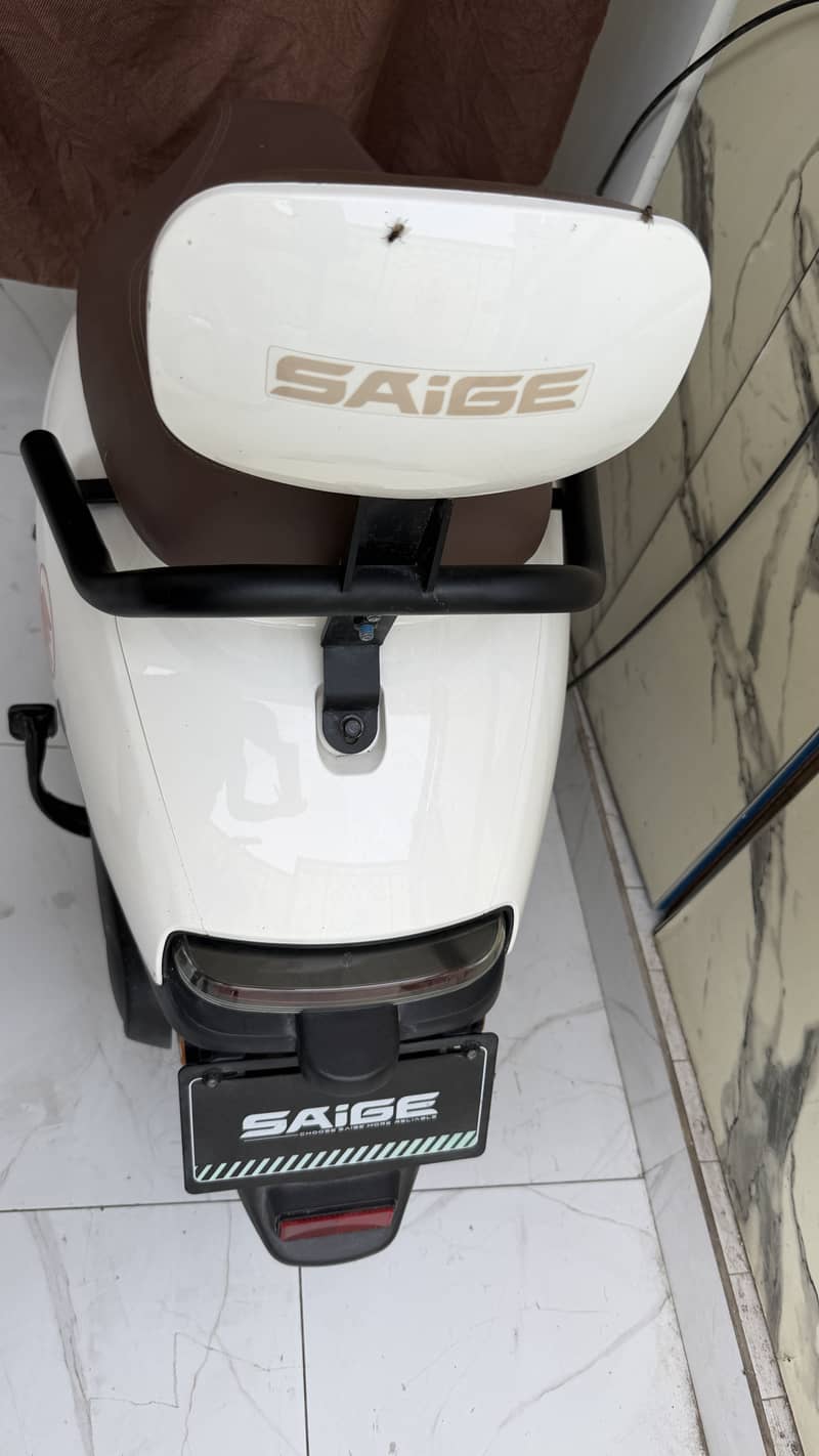 Saigi 1