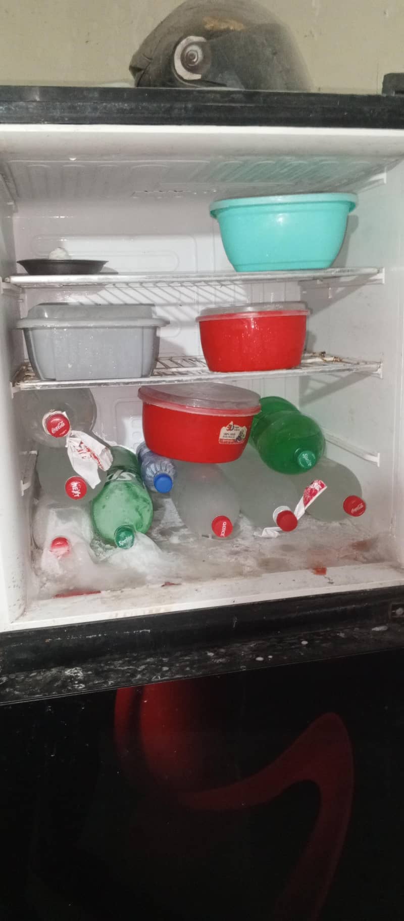 pel refrigerator 1