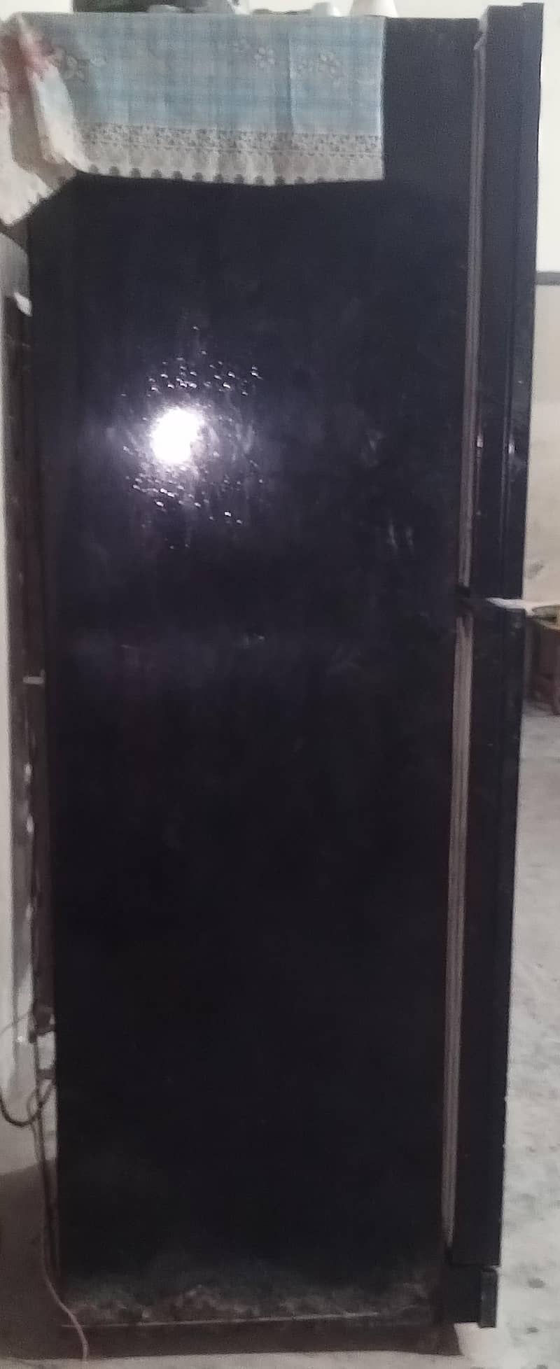 pel refrigerator 2