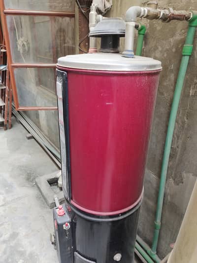 Geysar gas 25 gallon