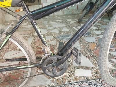cycle for the