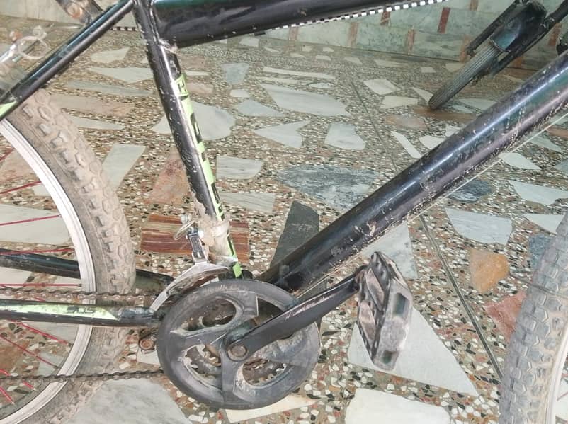 cycle for the 1