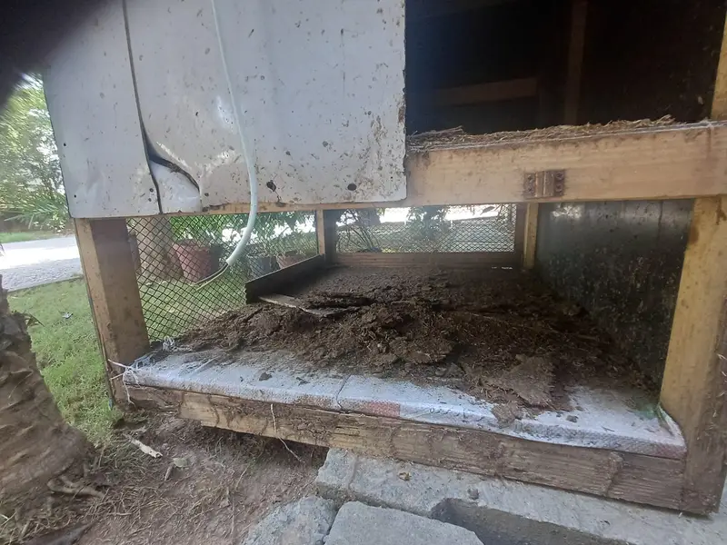 Two Story Chicken Coop — photo 5