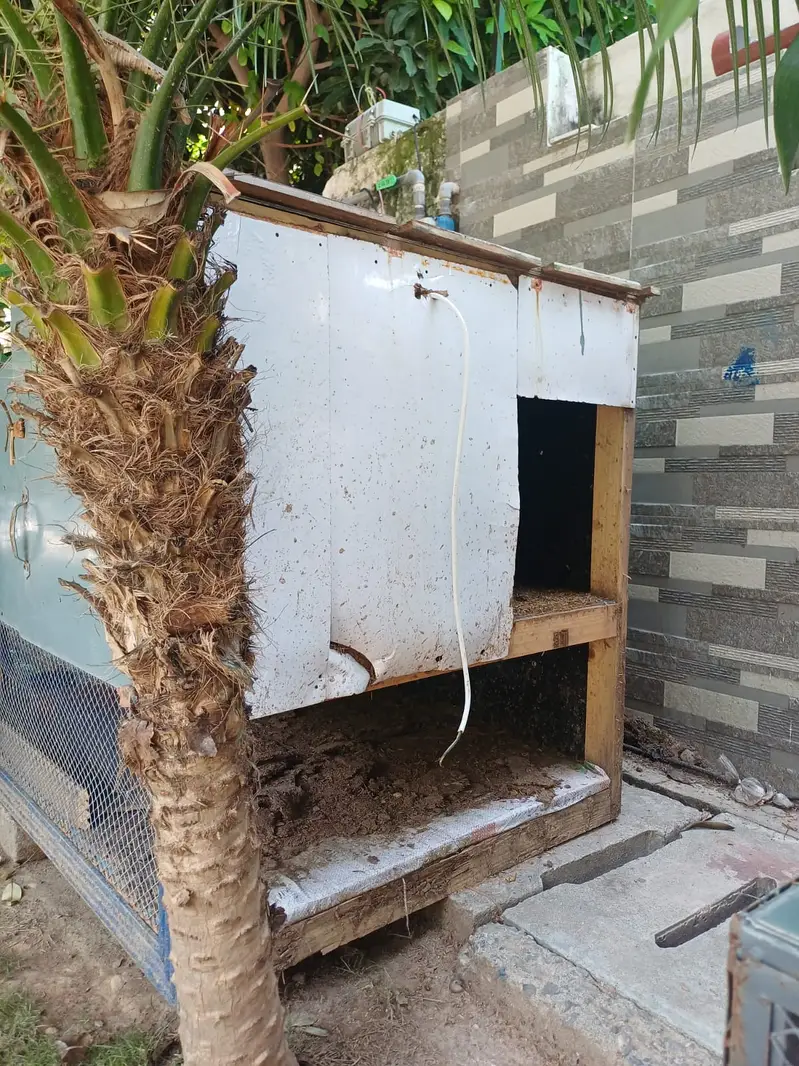 Two Story Chicken Coop — photo 7