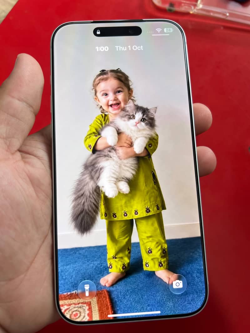 Apple iPhone 17 Pro Max 5
