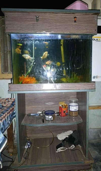 Fish Aquarium full with all equipment's and fishes