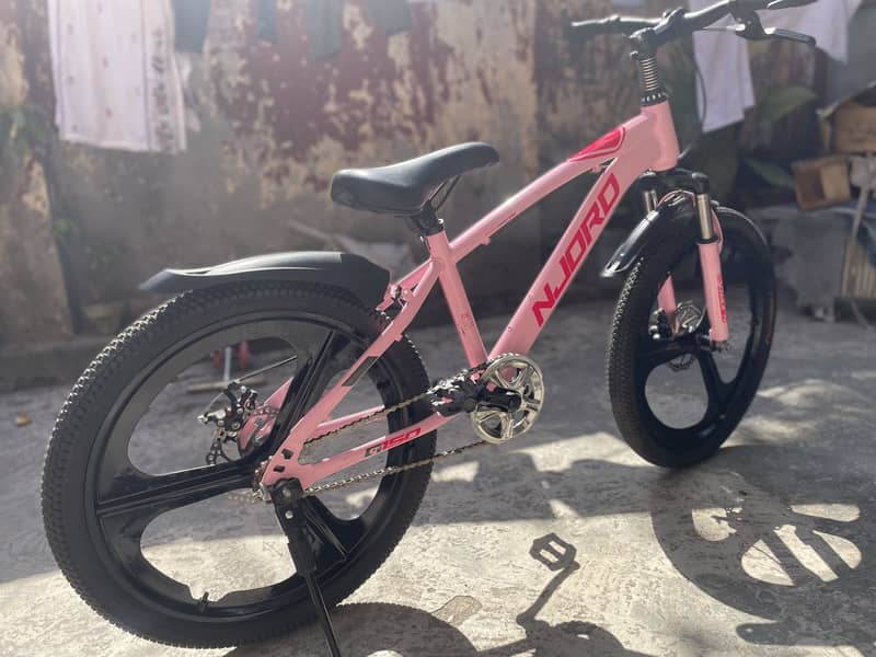 22'' bicycle 1