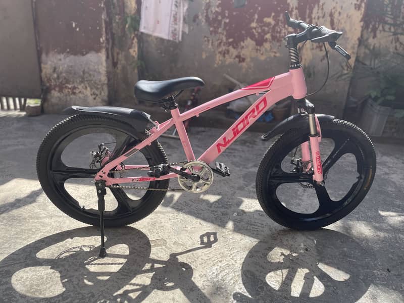22'' bicycle 2