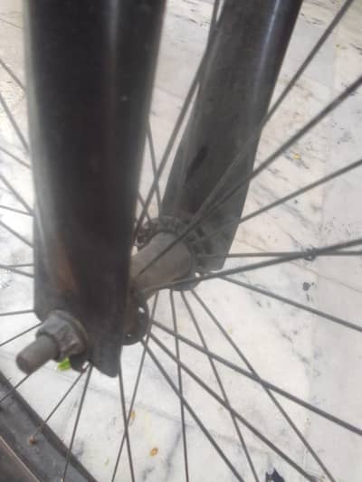 phoenix cycle