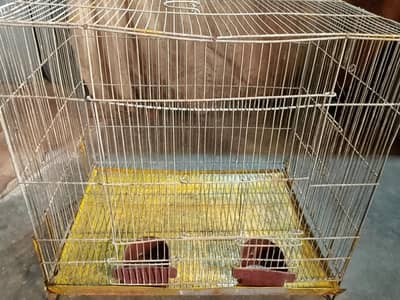birds cage