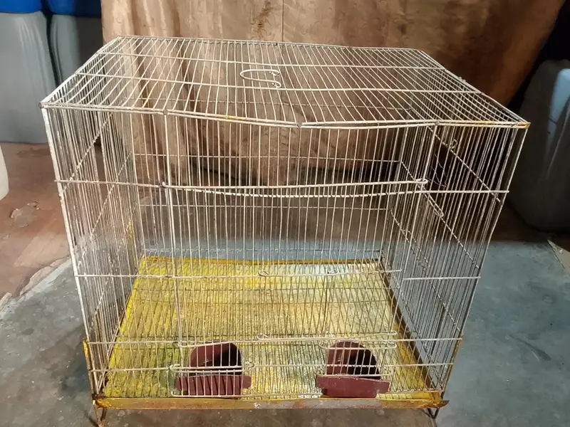 birds cage — photo 3