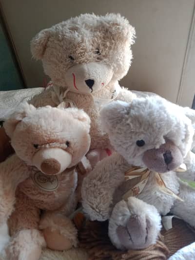 Stuffed toy 800 per kg