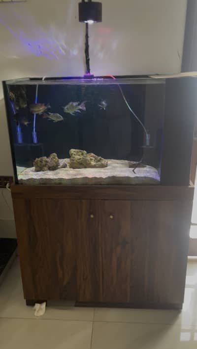 Aquarium Setup for sale 3ft Location Karachi