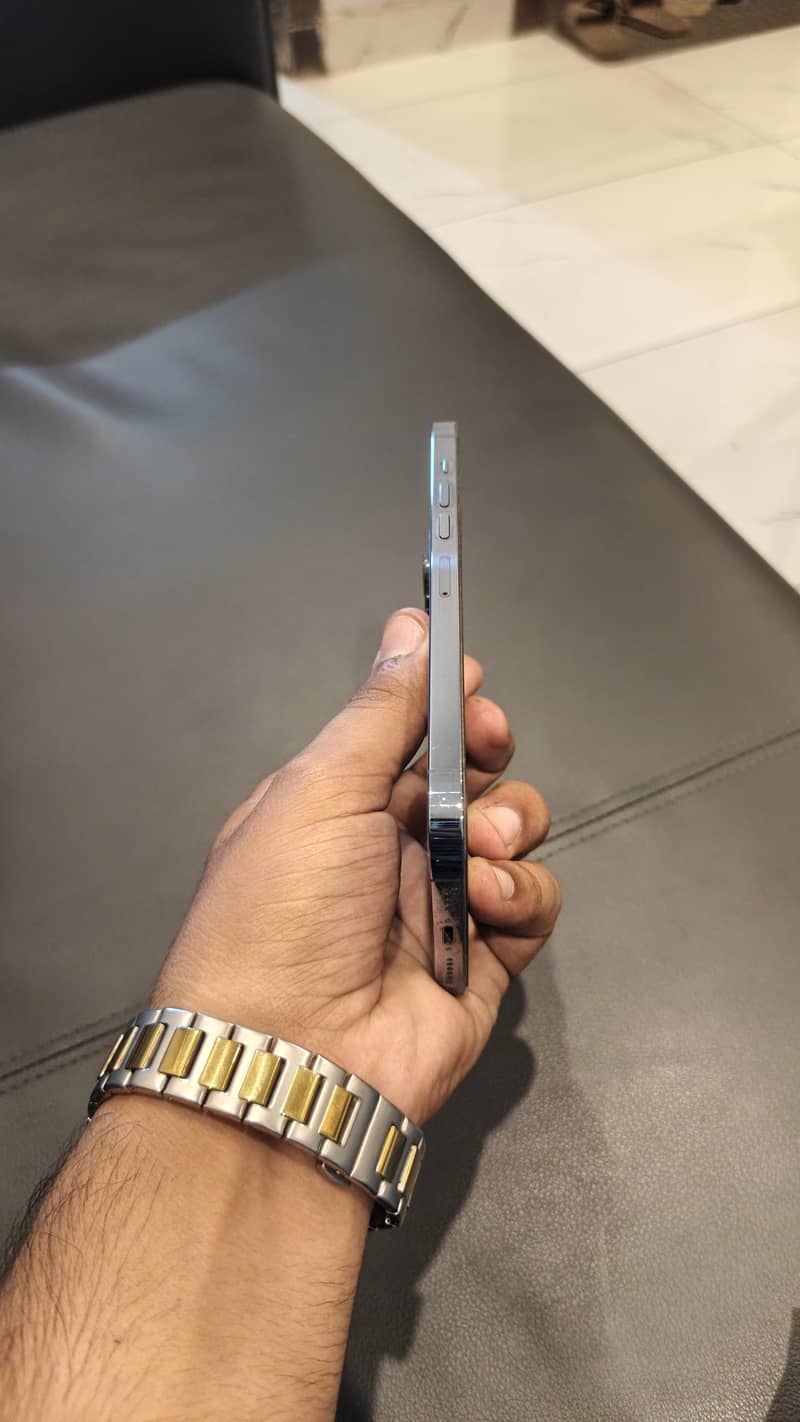 Apple iPhone 13 Pro Max 1