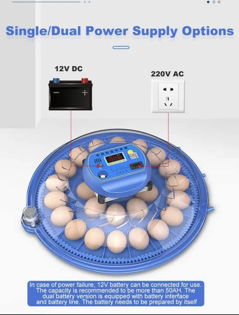 incubator china — photo 4