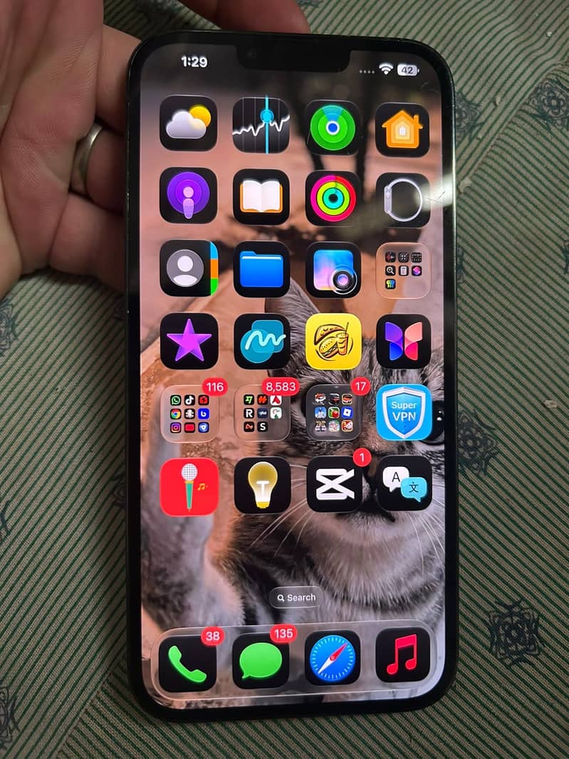 Apple iPhone 13 Pro Max 5