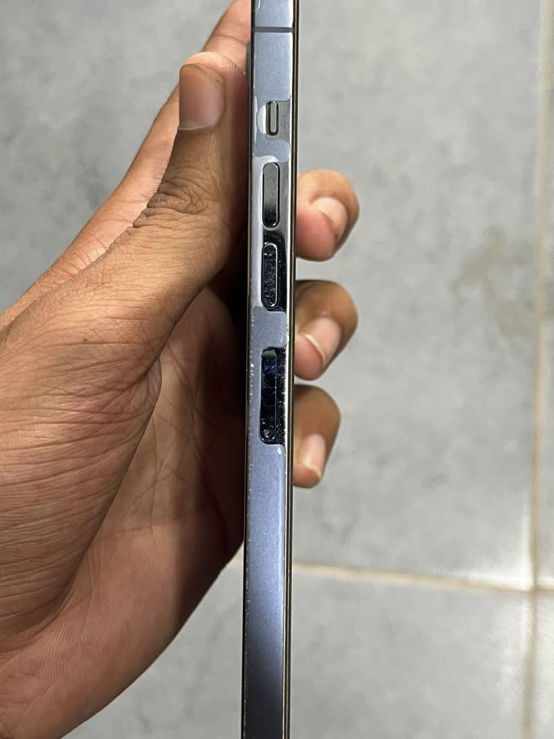 Apple iPhone 13 Pro Max 6