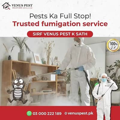 Dengue mosquitoes, Pest Control, Dengue Spary, Deemak Control Service
