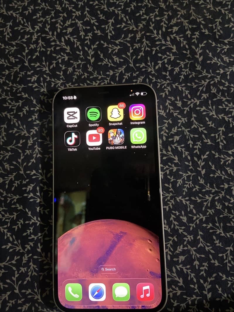 Apple iPhone 12 1