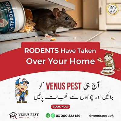 Pest Control, Fumigation Services ,Termite Control Deemak Control