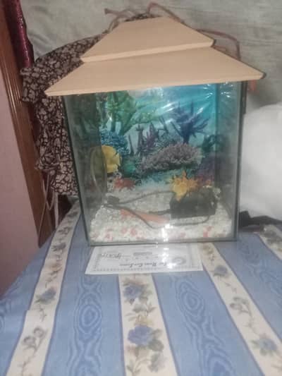 aquarium