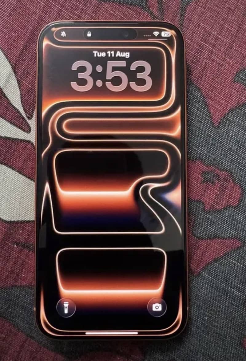 Apple iPhone 17 Pro Max 1
