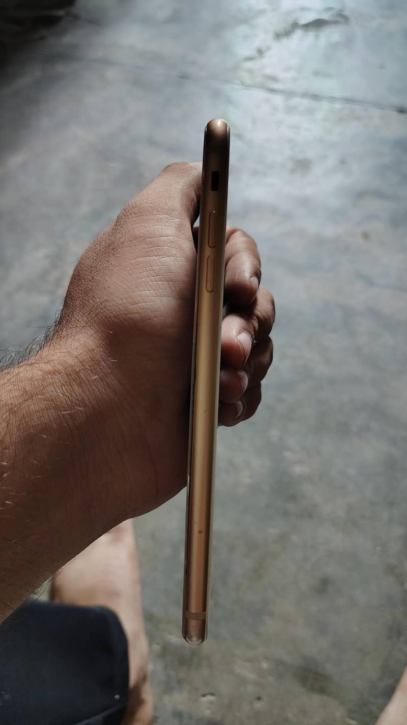 Apple iPhone 8 Plus 3
