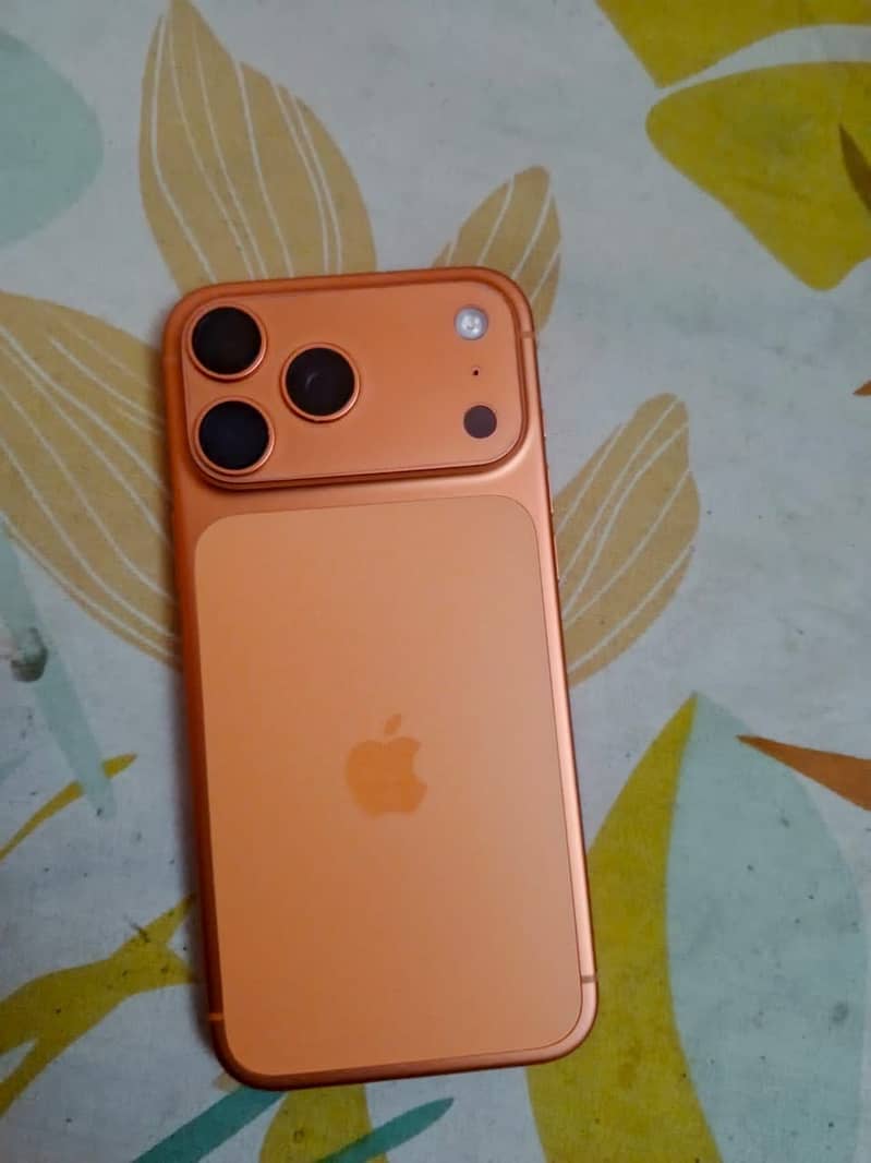 iPhone 17 Pro Max Bypass 1