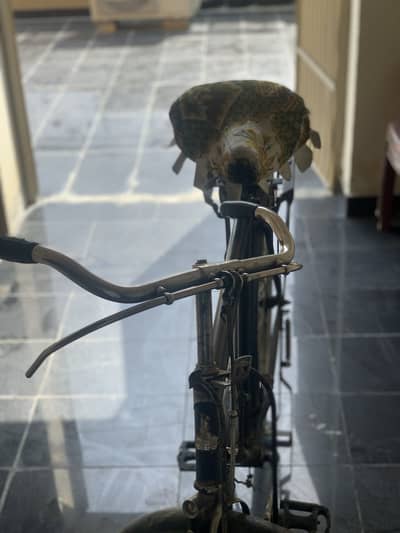 Shorab cycle
