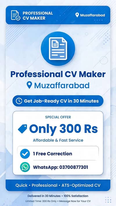 professional CV in RS 300