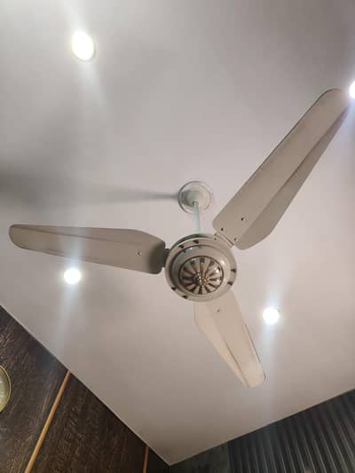 6 Ceiling Fans for Sale (1 SK Fan + 5 Luminar Fans)
