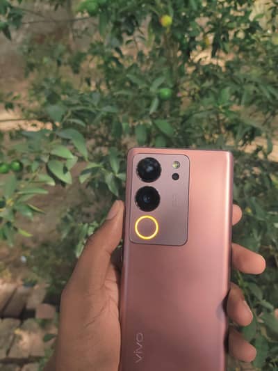 Vivo V29 non pta 12  256
