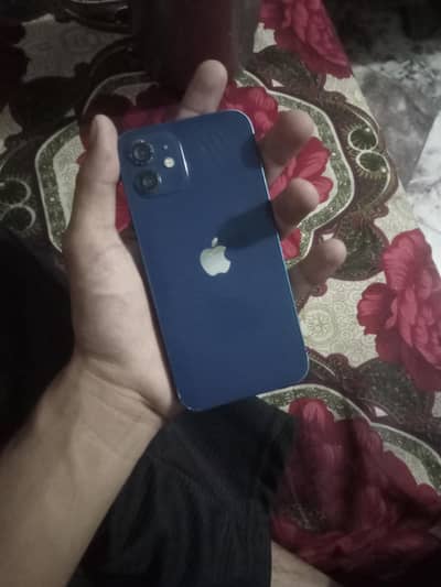 Apple iPhone 12 Jv