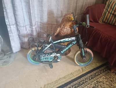 super shaino cycle