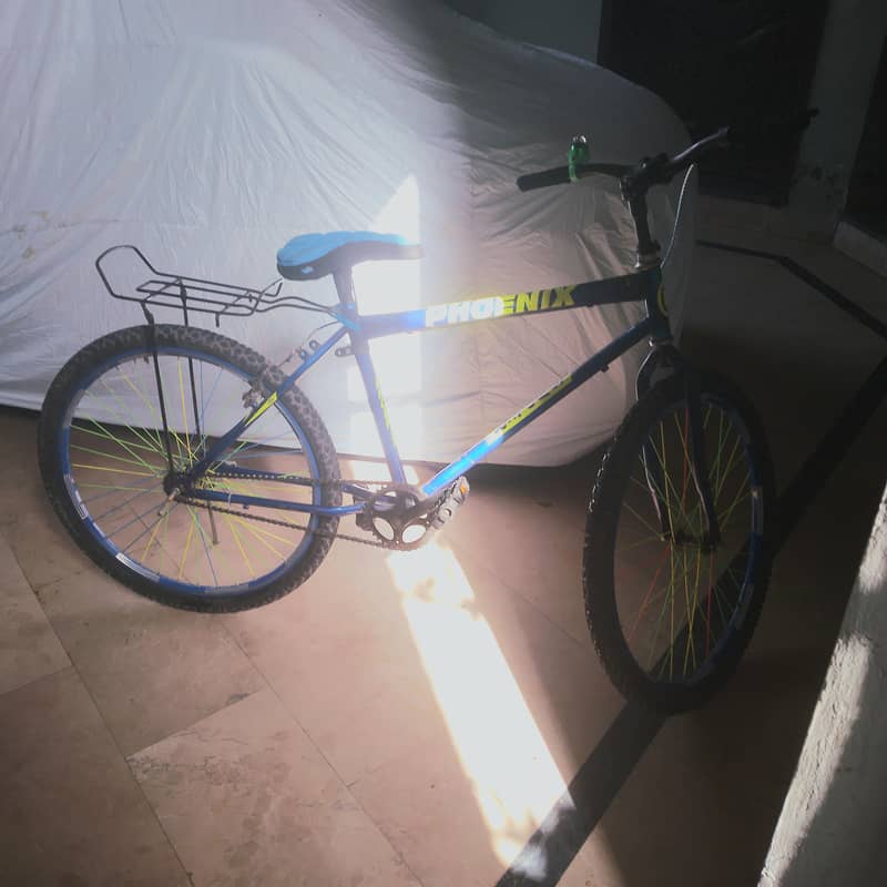 Simple or good cycle 2