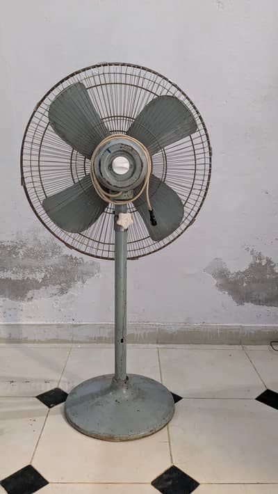 +923336137843