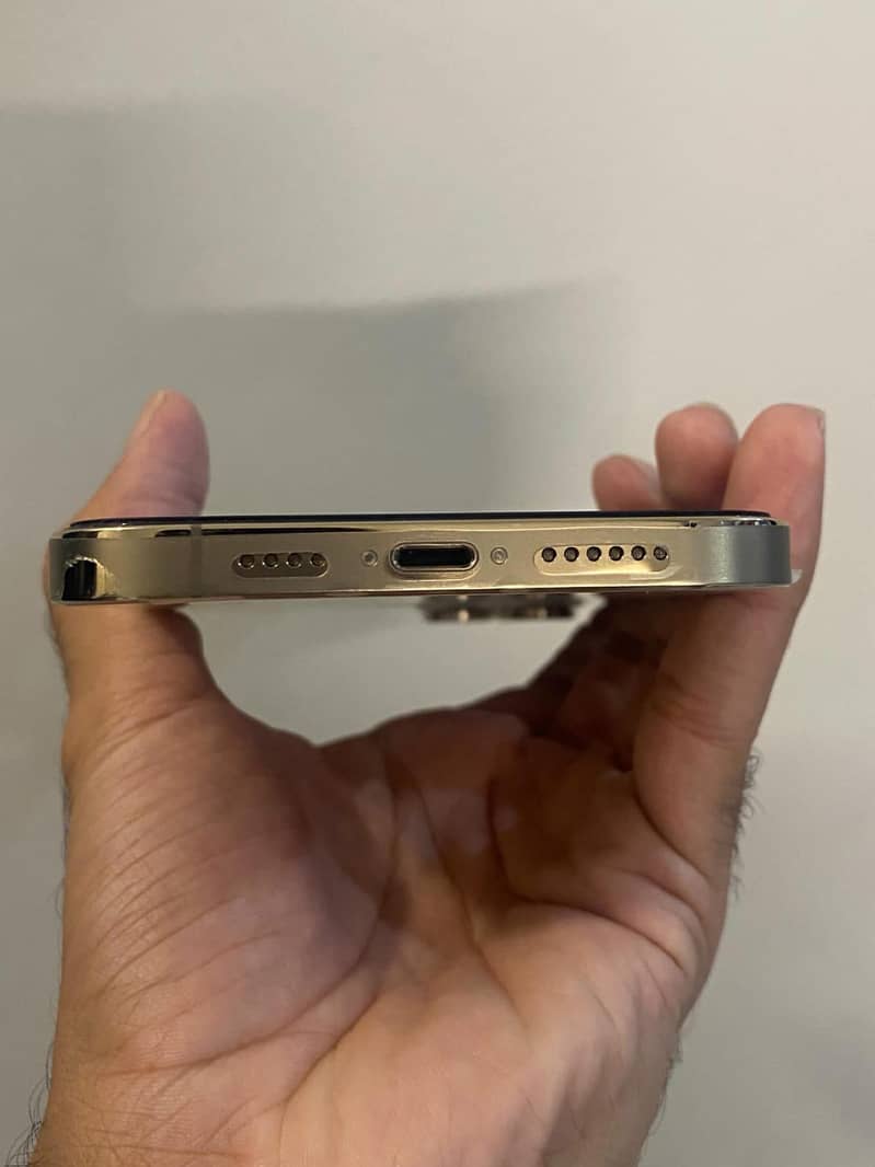 Apple iPhone 12 Pro Max 1