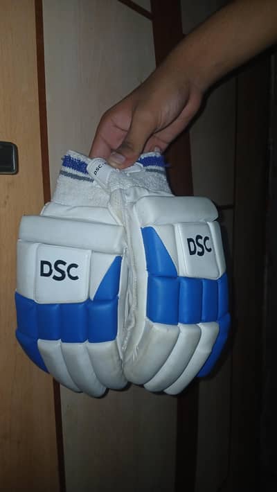 Cricket kit