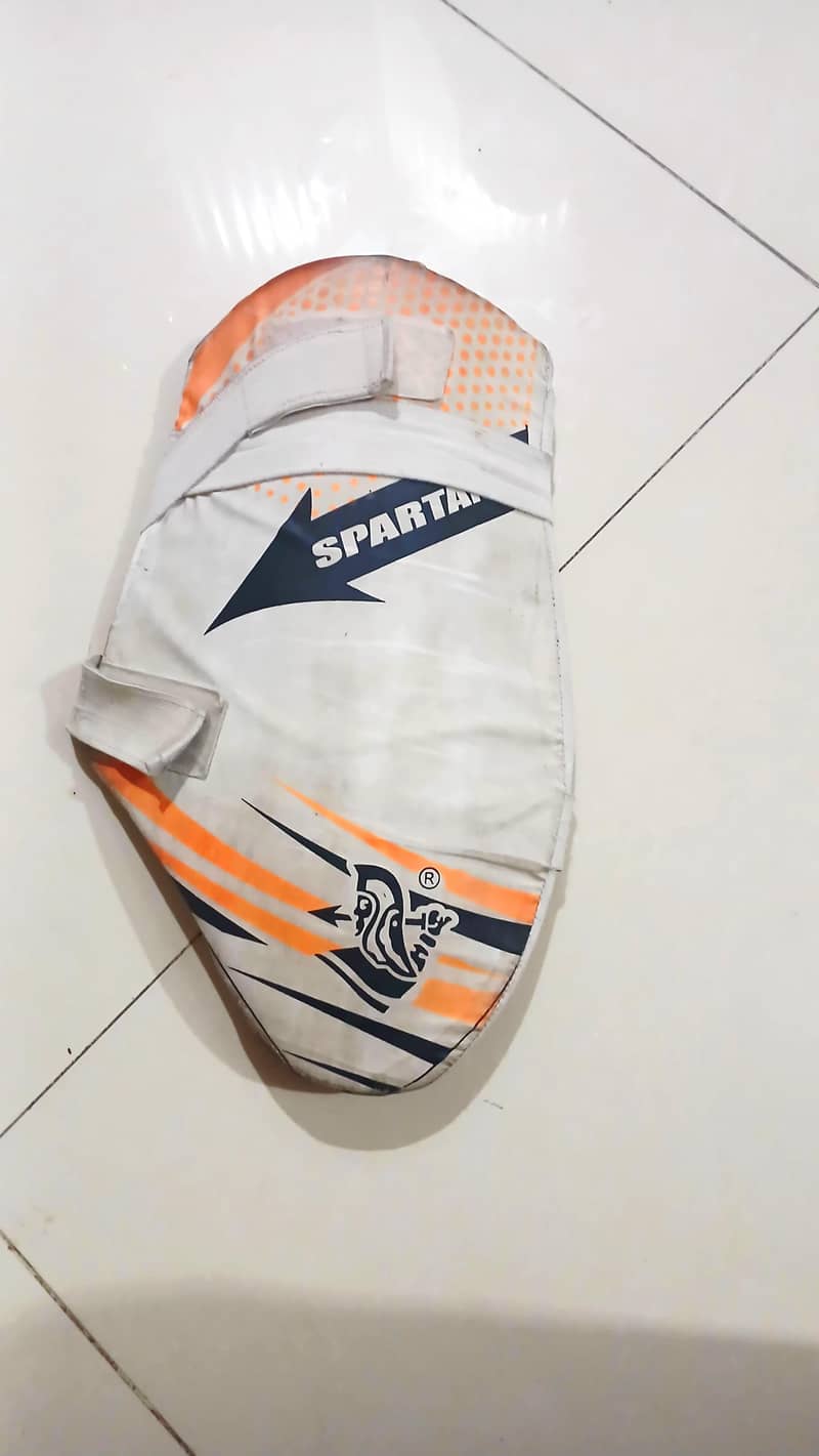 Cricket kit 7