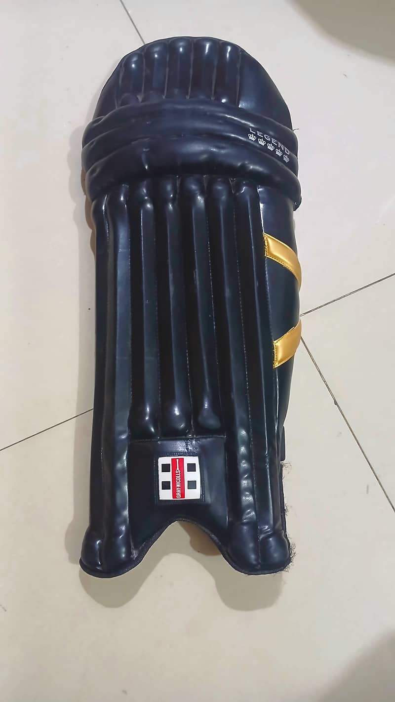 Cricket kit 8