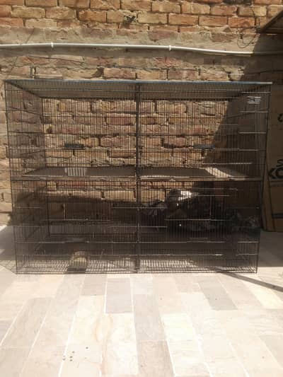 5 star jumbo cage for sale