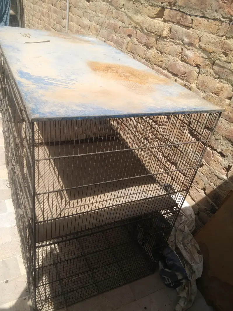 5 star jumbo cage for sale — photo 7