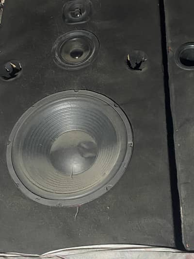 Woofers 12inch