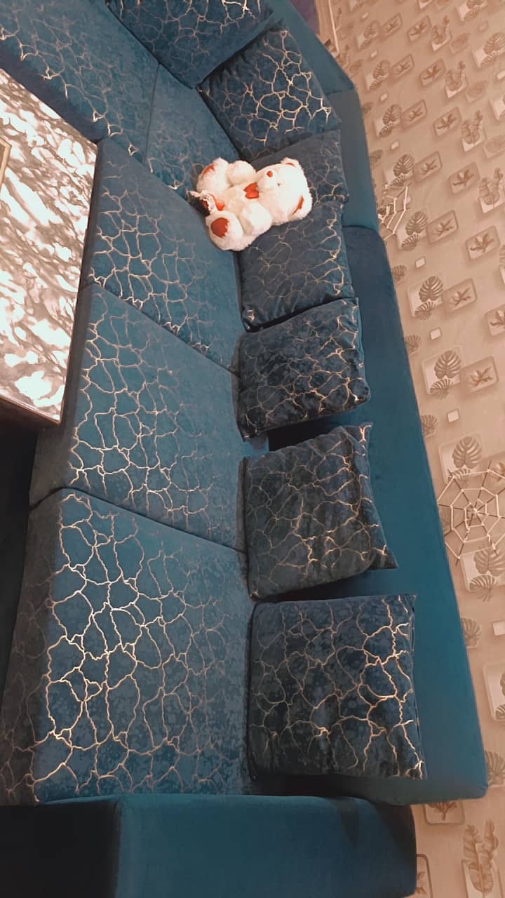 Sofa with. Center table 4