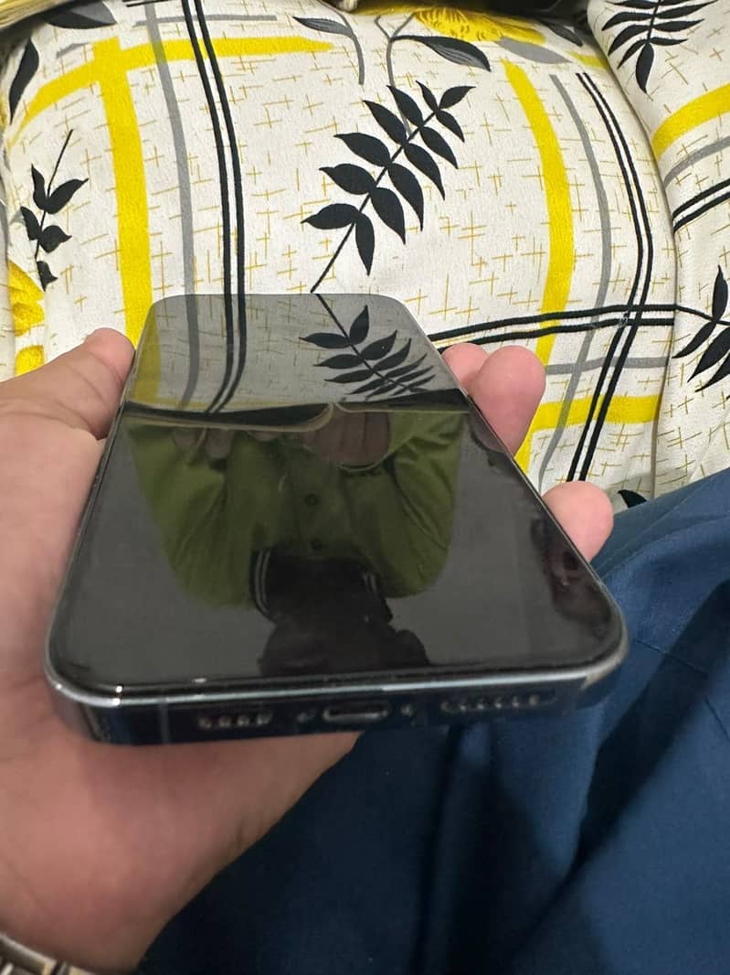 Apple iPhone 13 Pro Max 2