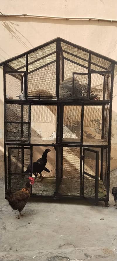 IRon Cage        #pets #hens #cages