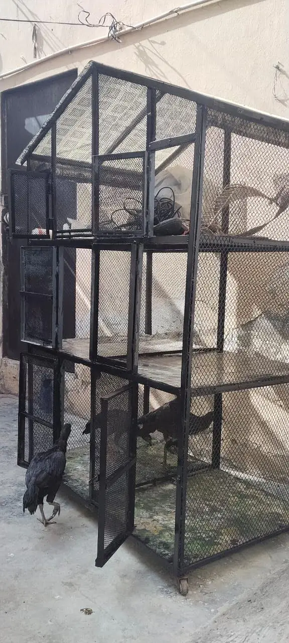 IRon Cage        #pets #hens #cages — photo 3