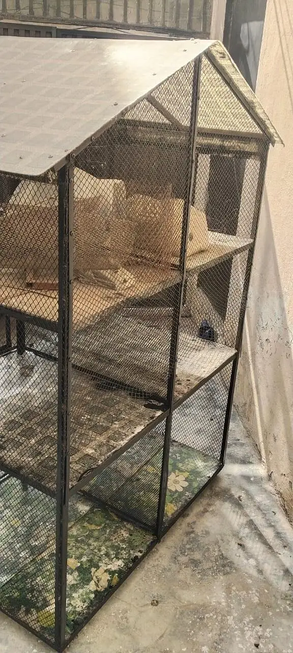 IRon Cage        #pets #hens #cages — photo 4