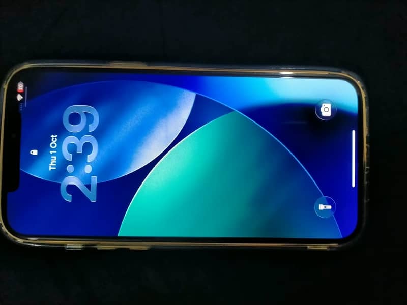 Apple iPhone 12 Pro Max 6